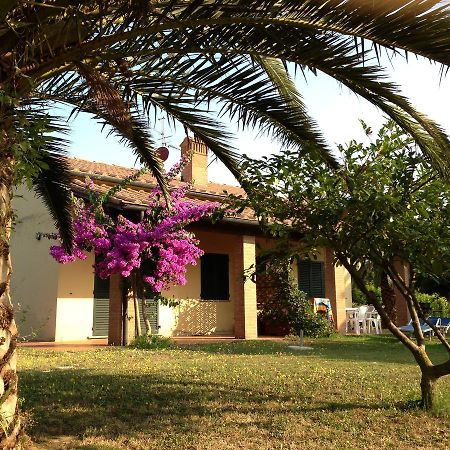 Casa Vacanze Mare Etrusco Piombino Kültér fotó